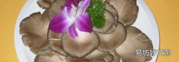 平菇和茄子能一起吃吗