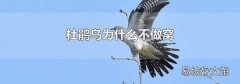 杜鹃鸟为什么不做窝