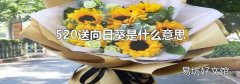 520送向日葵是什么意思