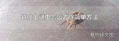 竹席上螨虫怎么去除简单方法