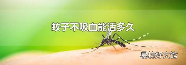 蚊子不吸血能活多久