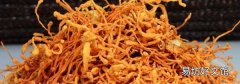 新鲜金孢虫草最佳吃法
