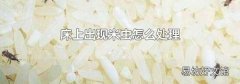 床上出现米虫怎么处理
