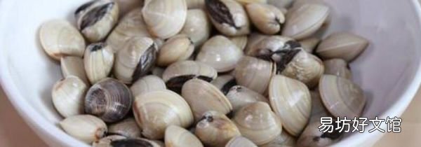 白贝是寒凉食物吗