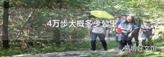 4万步大概多少公里