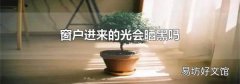 窗户进来的光会晒黑吗