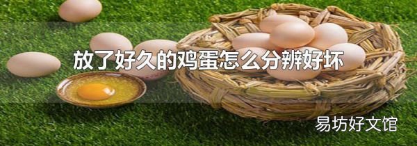 放了好久的鸡蛋怎么分辨好坏