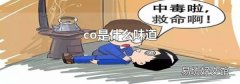 co是什么味道