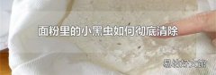 面粉里的小黑虫如何彻底清除