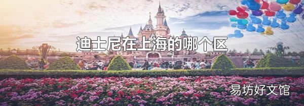 迪士尼在上海的哪个区