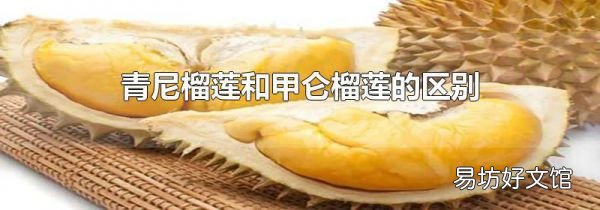 青尼榴蓮和甲侖榴蓮的區別
