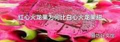 红心火龙果为何比白心火龙果甜