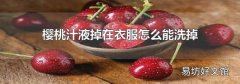 樱桃汁液掉在衣服怎么能洗掉