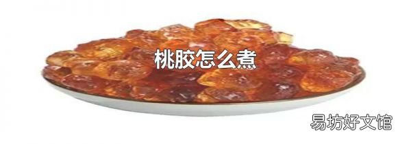 桃胶怎么煮