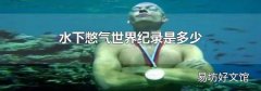 水下憋气世界纪录是多少