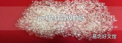 pet是食品级的吗