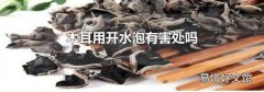 木耳用开水泡有害处吗