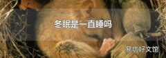 冬眠是一直睡吗