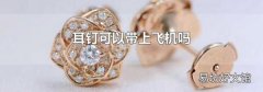 耳钉可以带上飞机吗