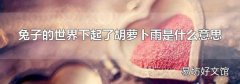 兔子的世界下起了胡萝卜雨是什么意思