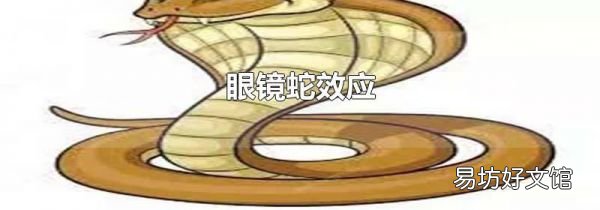 眼镜蛇效应