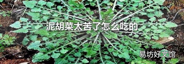 泥胡菜太苦了怎么吃的