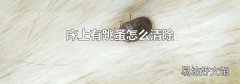 床上有跳蚤怎么清除