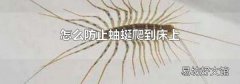 怎么防止蚰蜒爬到床上