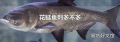 花鲢鱼刺多不多