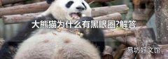 大熊猫为什么有黑眼圈?解答