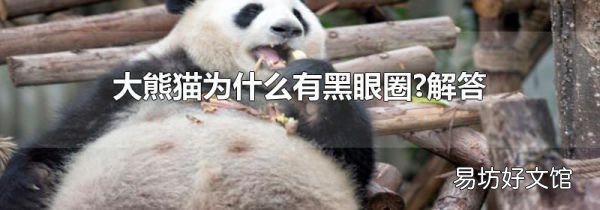 大熊猫为什么有黑眼圈?解答