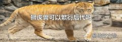 狮虎兽可以繁衍后代吗