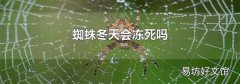 蜘蛛冬天会冻死吗