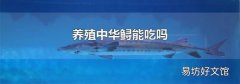 养殖中华鲟能吃吗