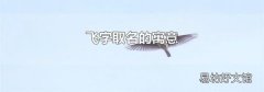 飞字取名的寓意