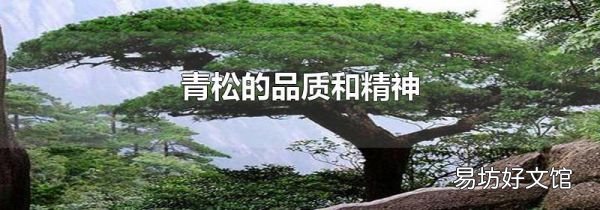 青松的品質和精神