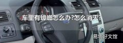 车里有蟑螂怎么办?怎么消灭?