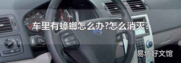 车里有蟑螂怎么办?怎么消灭?