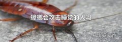 蟑螂会攻击睡觉的人吗