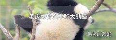 老虎为什么不吃大熊猫