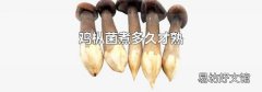 鸡枞菌煮多久才熟