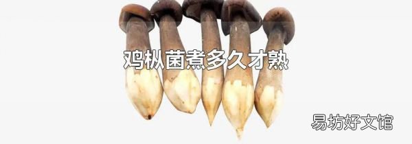 鸡枞菌煮多久才熟