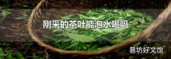 刚采的茶叶能泡水喝吗