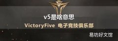 v5是啥意思