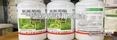 氯氰菊酯作用与用途