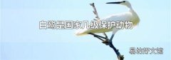 白鹭是国家几级保护动物