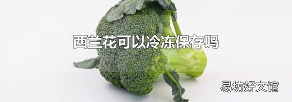 西兰花可以冷冻保存吗