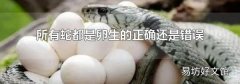 所有蛇都是卵生的正确还是错误