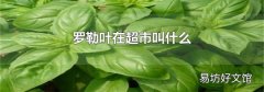 罗勒叶在超市叫什么