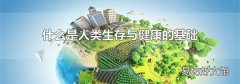 什么是人类生存与健康的基础